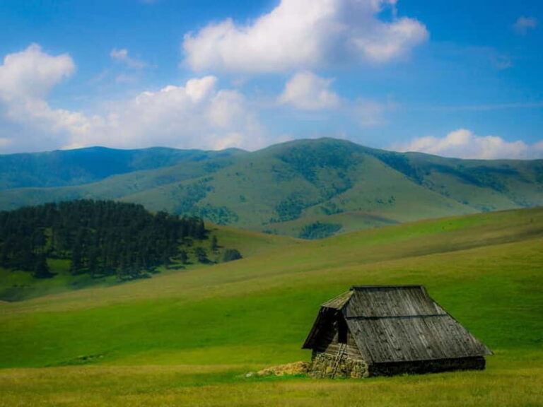 From Belgrade: Full-Day Guided Tour of Zlatibor Mountain - What’s Included and What to Consider