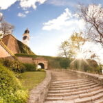From Belgrade: Novi Sad and Sremski Karlovci Day Trip - Practical Details and Tips