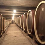 From Belgrade: Oplenac mausoleum Royal tour with winery - The Value of the Tour