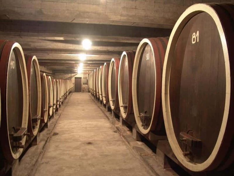 From Belgrade: Oplenac mausoleum Royal tour with winery - The Value of the Tour