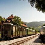 From Belgrade: Sargan 8 Railway and Wooden City 1 Day Tour - What We Loved About This Tour