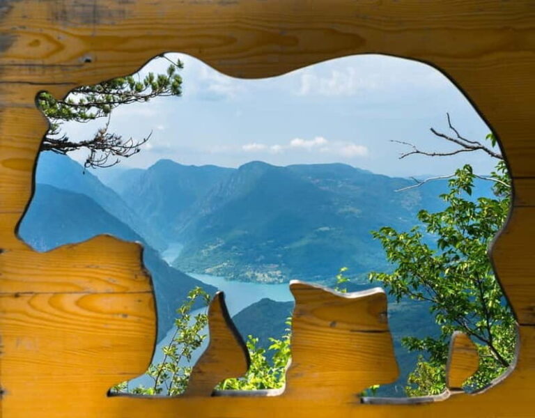 From Belgrade: Tara National Park & Drina River Valley Tour - What Makes This Tour Stand Out?