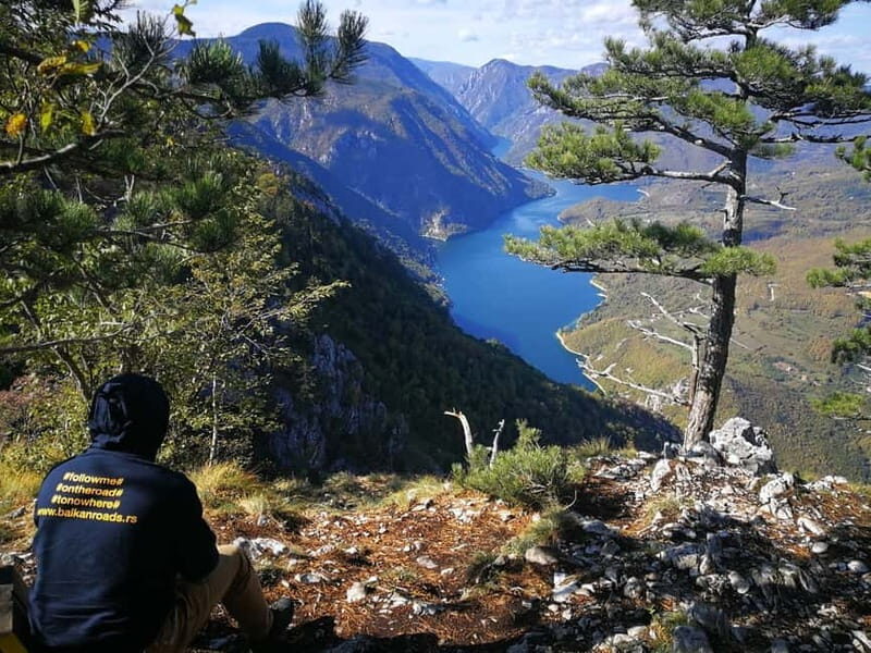 From Belgrade: Tara NP & Drina river & House on the Drina - An In-Depth Look at the Tour