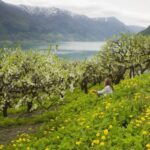 From Bergen: Private Trip to Hardangerfjord - A Deep Dive into the Hardangerfjord Private Tour