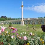 From Berlin: Potsdam Half-Day Guided Tour - Who Should Book This Tour?