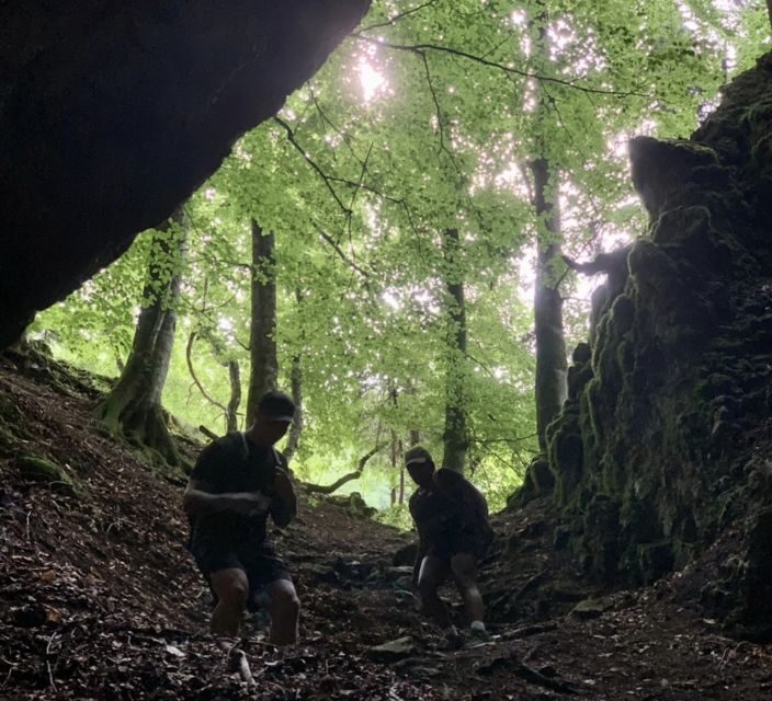 From Bled: Half-Day Pokljuka Gorge Trail Hike - An In-Depth Look at the Pokljuka Gorge Trail Hike
