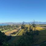 From Blenheim/Picton: Marlborough Gourmet Wine Tasting Tour - Who Should Consider This Tour?