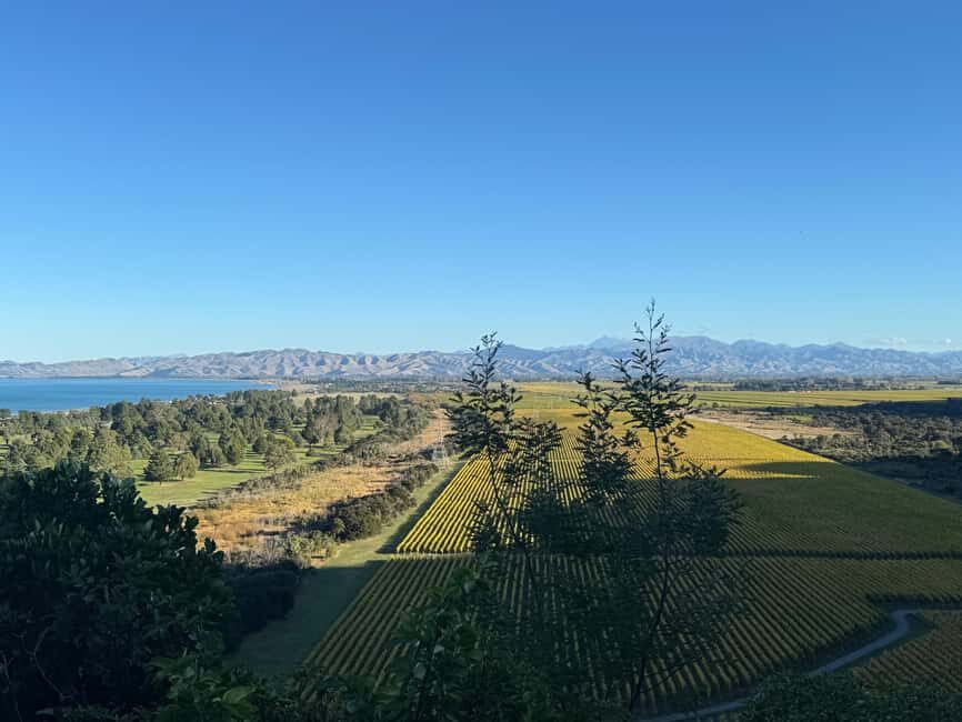 From Blenheim/Picton: Marlborough Gourmet Wine Tasting Tour - Who Should Consider This Tour?