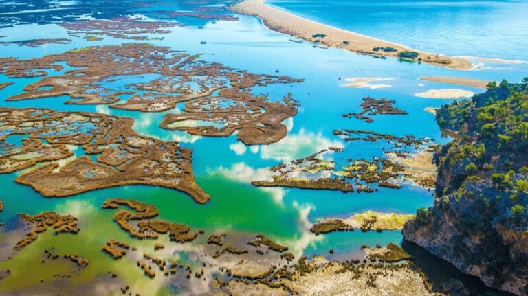 From Bodrum: Dalyan, Turtle Beach, and Mud Baths Day Trip - How the Experience Fits Your Travel Style