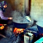 From Bodrum: Private Village Tour with Lunch and Transfers - In-Depth Review of the From Bodrum: Private Village Tour with Lunch and Transfers