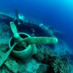 From Bodrum: Scuba Diving in the Aegean Sea - Why This Tour Stands Out