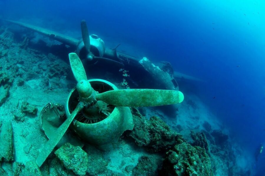 From Bodrum: Scuba Diving in the Aegean Sea - Why This Tour Stands Out