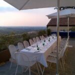 From Bologna: Wine Tasting and Vineyard Tour with the winemaker - The Value of the Experience