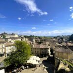 From Bordeaux: Afternoon Saint-Emilion Wine Tasting Trip - A Deep Dive into the Experience