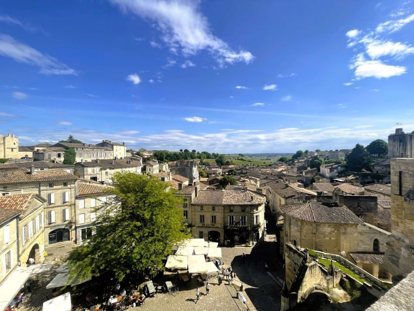 From Bordeaux: Afternoon Saint-Emilion Wine Tasting Trip - A Deep Dive into the Experience