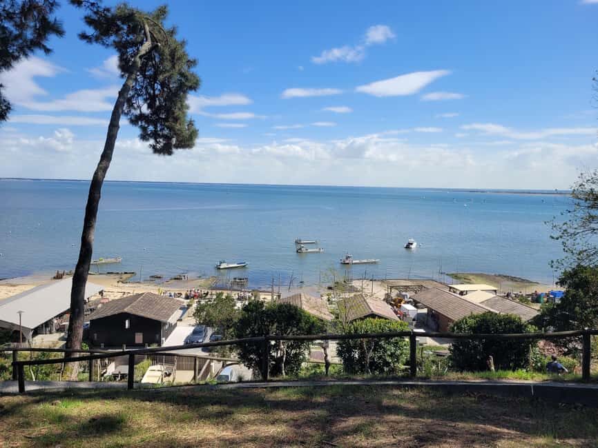 From Bordeaux: Cap Ferret Peninsula Private Tour, Ocean and Oyster Village - Who Should Consider This Tour?