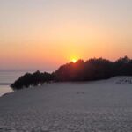 From Bordeaux: Dune du Pilat Sunset Tour - An In-Depth Look at the Dune du Pilat Sunset Tour