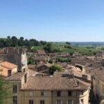 From Bordeaux: Half-Day Saint-Emilion Wine Tour - A Deep Dive into the Saint-Emilion Wine Tour Experience