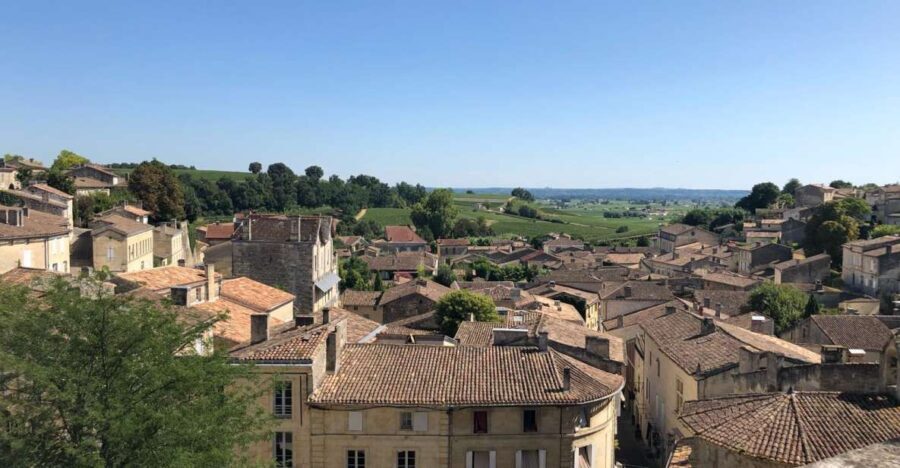 From Bordeaux: Half-Day Saint-Emilion Wine Tour - A Deep Dive into the Saint-Emilion Wine Tour Experience