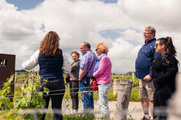 From Bordeaux: Medoc Winery Morning Tour with Wine Tasting - What Makes This Tour Stand Out?