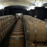 From Bordeaux: Private Tour in the Chateaux of Saint-Émilion - An In-Depth Look at the Saint-Émilion Private Tour
