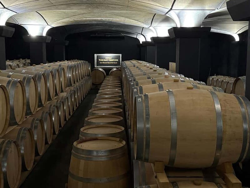 From Bordeaux: Private Tour in the Chateaux of Saint-Émilion - An In-Depth Look at the Saint-Émilion Private Tour
