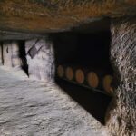 From Bordeaux: Private tour Monbazillac (Castle, Wine & Food in Dordogne) - Exploring the Heart of Dordogne and Bordeaux