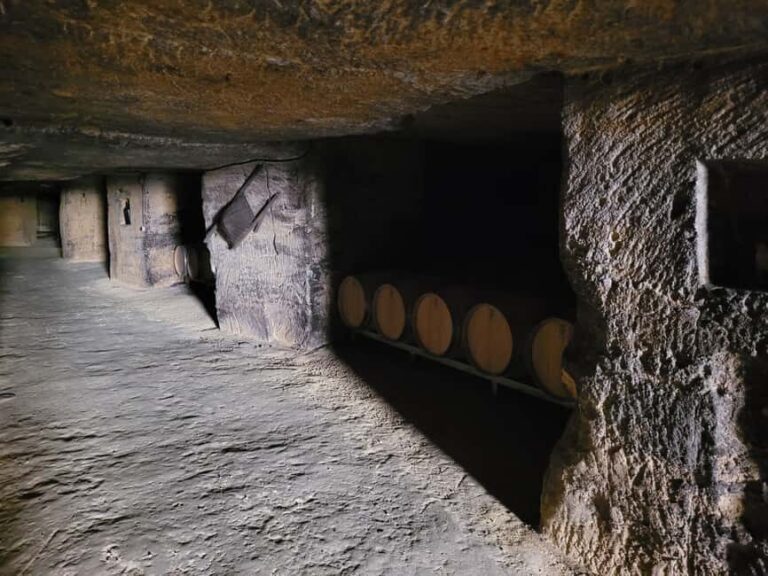 From Bordeaux: Private tour Monbazillac (Castle, Wine & Food in Dordogne) - Exploring the Heart of Dordogne and Bordeaux