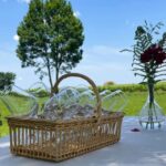 From Bordeaux: Saint-Emilion Day Trip with Lunch and Wine - The Logistics: How It All Comes Together