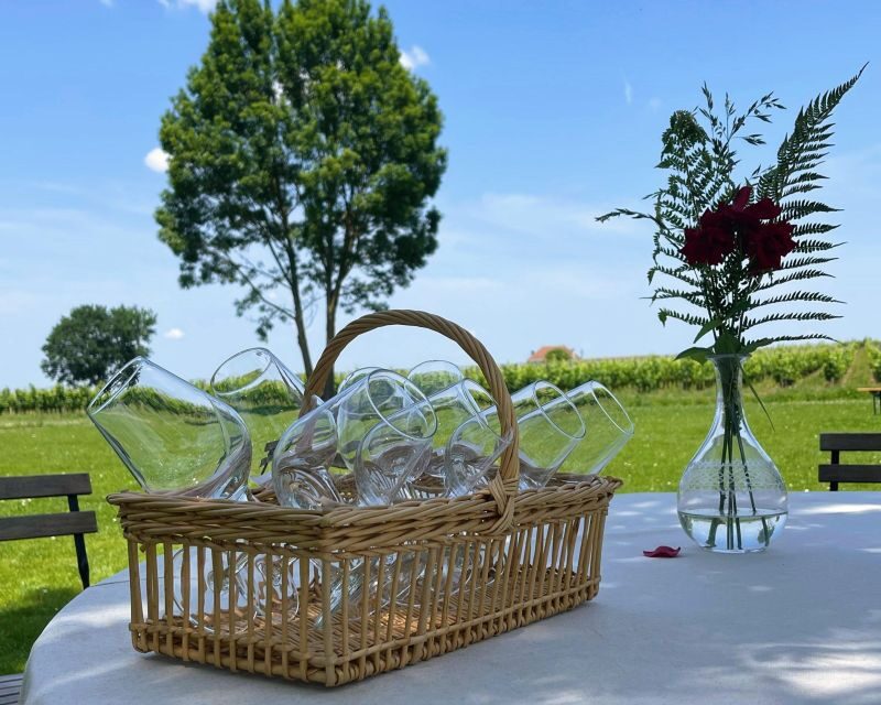 From Bordeaux: Saint-Emilion Day Trip with Lunch and Wine - The Logistics: How It All Comes Together