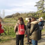 From Bordeaux: Saint-Émilion Half-Day Tour with Wine Tasting - Why This Tour Represents Good Value