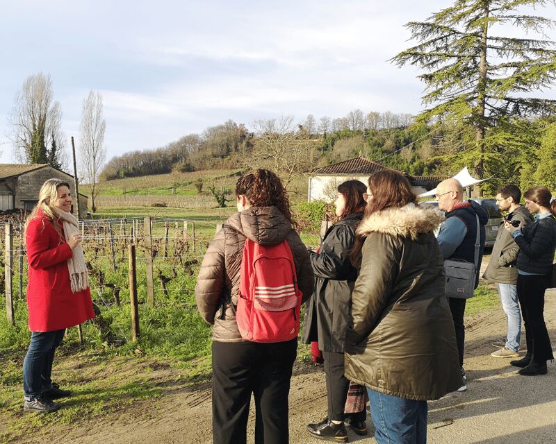 From Bordeaux: Saint-Émilion Half-Day Tour with Wine Tasting - Why This Tour Represents Good Value