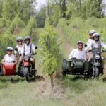 From Bordeaux: Saint-Emilion Wine Tour in a Sidecar - Who Will Love This Tour?