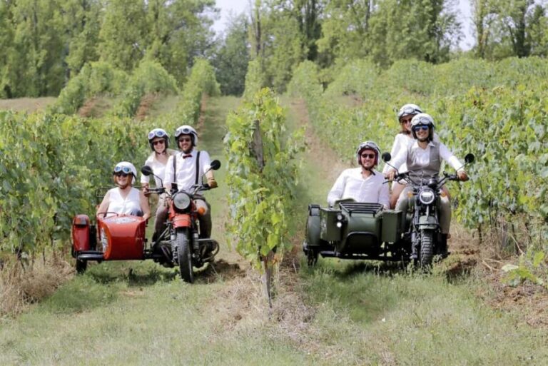 From Bordeaux: Saint-Emilion Wine Tour in a Sidecar - Who Will Love This Tour?