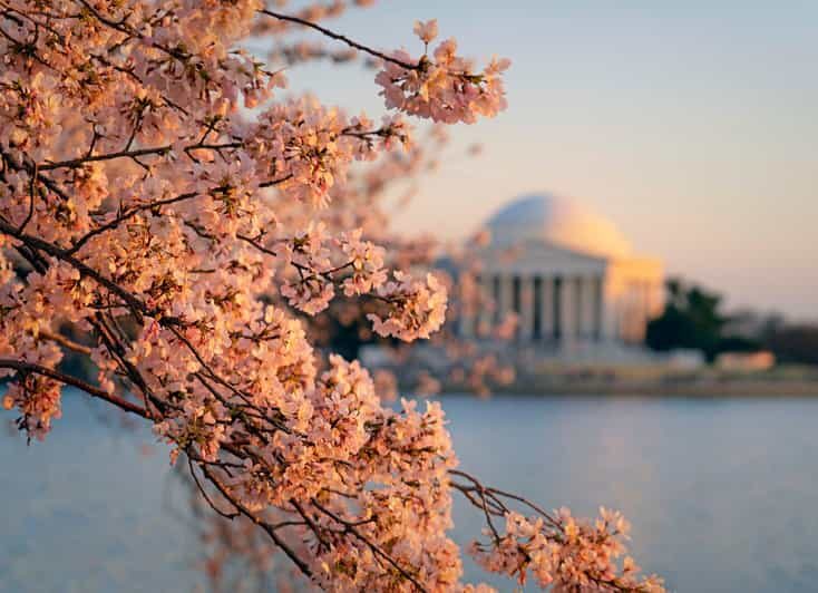 From Boston: 4-Day Tour to New York, D.C.&Niagara Falls - The Experience in Practice: What Travelers Say