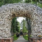 From Bozeman Yellowstone and Teton Tour 3 Days and 2 Nights - Final Thoughts