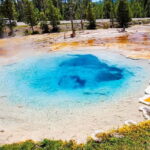 From Bozeman: Yellowstone Day Tour (Lower Loop) - A Detailed Look at the Yellowstone Lower Loop Day Tour