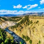 From Bozeman: Yellowstone Day Tour (Upper Loop) - Authentic Experiences and Honest Feedback from Travelers