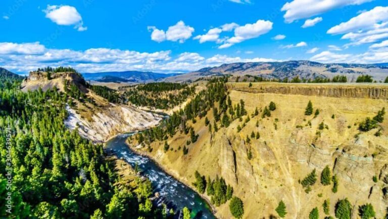 From Bozeman: Yellowstone Day Tour (Upper Loop) - Authentic Experiences and Honest Feedback from Travelers