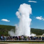 From Bozeman Yellowstone Full Day Tour Lower Loop - Authentic Experiences From Travelers
