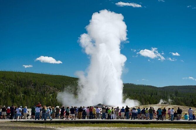 From Bozeman Yellowstone Full Day Tour Lower Loop - Authentic Experiences From Travelers