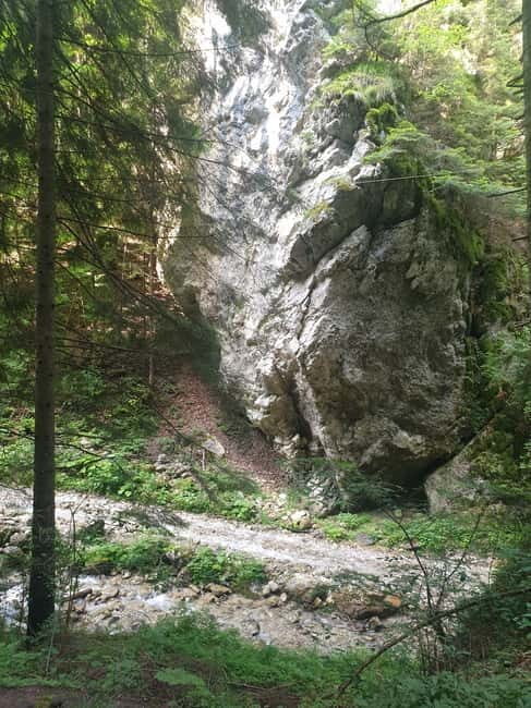 From Brasov : Hiking in Piatra Craiului National Park - An In-Depth Look at the Piatra Craiului Hike