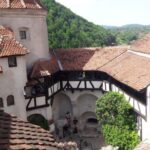 From Brasov: Peles Castle, Bran Castle & Cantacuzino Castle - Who Should Take This Tour?