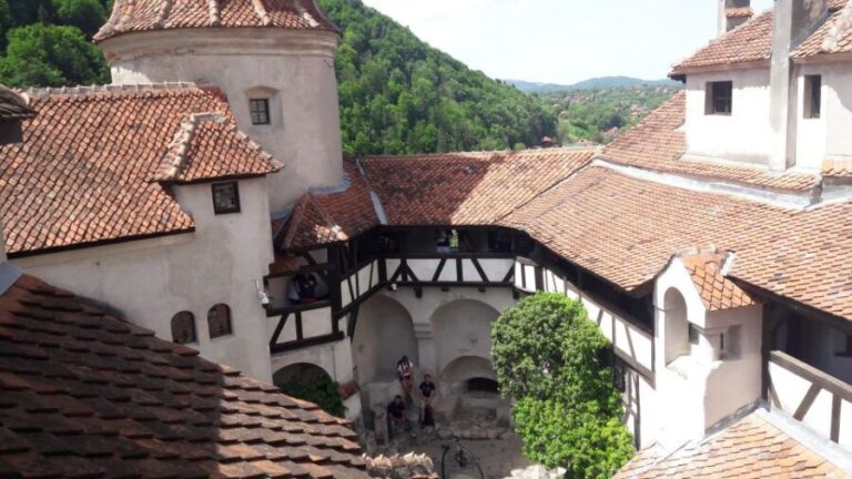From Brasov: Peles Castle, Bran Castle & Cantacuzino Castle - Who Should Take This Tour?