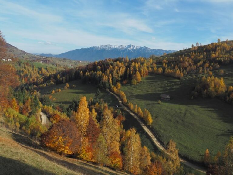 From Brasov: Piatra Craiului National Park 2-Day Guided Trek - Exploring Piatra Craiului National Park: What You Can Expect