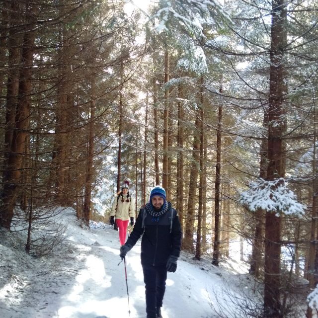 From Brasov: Piatra Craiului National Park Private Day Tour - Exploring the Piatra Craiului National Park Experience