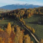 From Brasov: Romanian Mountain Villages Day Tour - What Makes This Tour Value-Driven