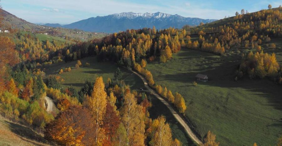 From Brasov: Romanian Mountain Villages Day Tour - What Makes This Tour Value-Driven