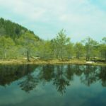 From Brasov: Small-Group Volcanic Lake Day Trip - Practical Details and Tips