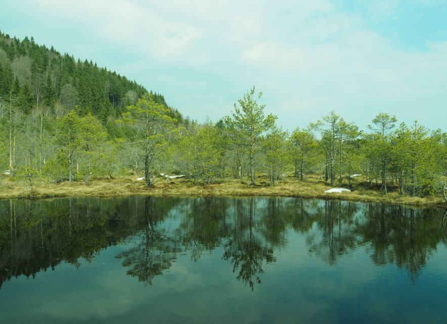 From Brasov: Small-Group Volcanic Lake Day Trip - Practical Details and Tips